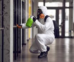 Best Forensic Mold Investigation  in Windsor, CA